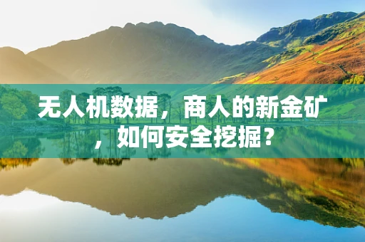 无人机数据，商人的新金矿，如何安全挖掘？
