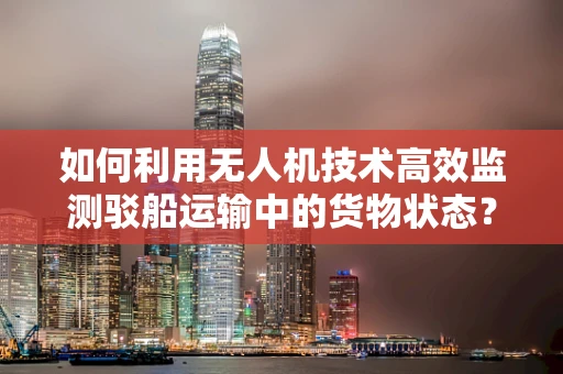 如何利用无人机技术高效监测驳船运输中的货物状态？