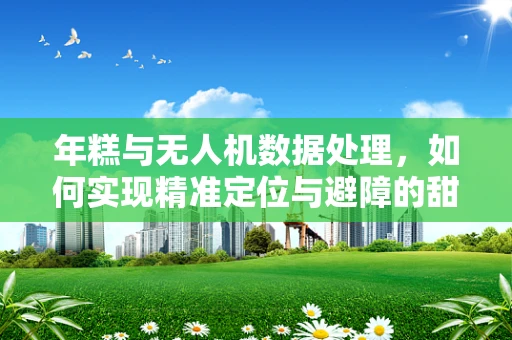 年糕与无人机数据处理，如何实现精准定位与避障的甜蜜结合？