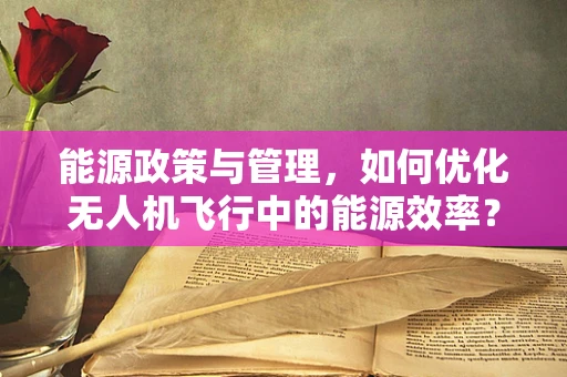 能源政策与管理，如何优化无人机飞行中的能源效率？