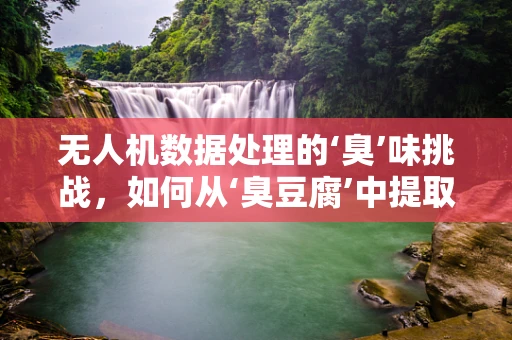 无人机数据处理的‘臭’味挑战，如何从‘臭豆腐’中提取关键信息？
