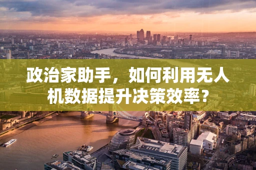政治家助手，如何利用无人机数据提升决策效率？