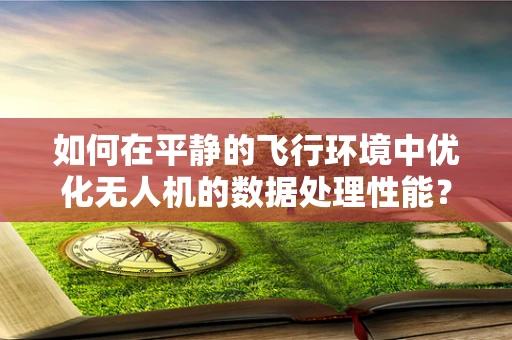 如何在平静的飞行环境中优化无人机的数据处理性能？
