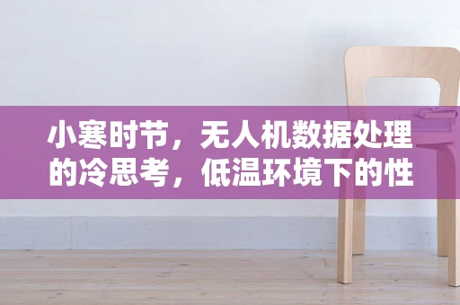 小寒时节，无人机数据处理的冷思考，低温环境下的性能影响与应对策略