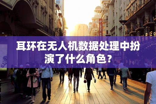 耳环在无人机数据处理中扮演了什么角色？