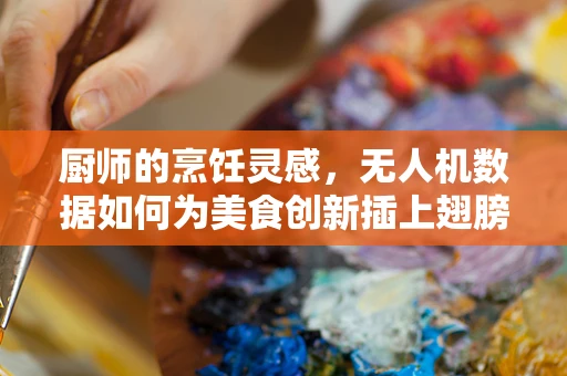 厨师的烹饪灵感，无人机数据如何为美食创新插上翅膀？