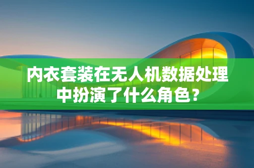 内衣套装在无人机数据处理中扮演了什么角色？