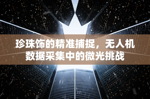 珍珠饰的精准捕捉，无人机数据采集中的微光挑战