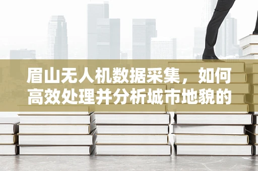 眉山无人机数据采集，如何高效处理并分析城市地貌的‘空中视角’？