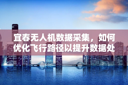 宜春无人机数据采集，如何优化飞行路径以提升数据处理效率？