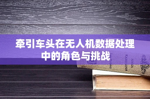 牵引车头在无人机数据处理中的角色与挑战