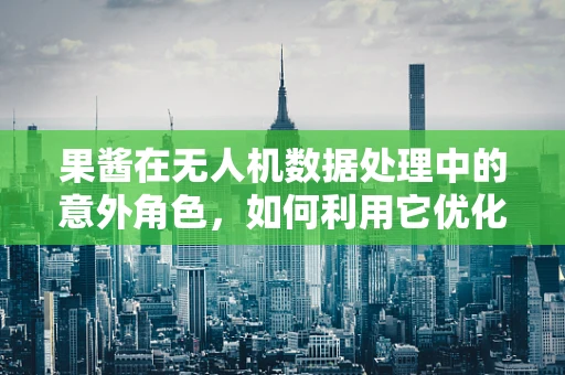 果酱在无人机数据处理中的意外角色，如何利用它优化图像识别？