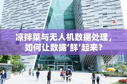 凉拌菜与无人机数据处理，如何让数据‘鲜’起来？