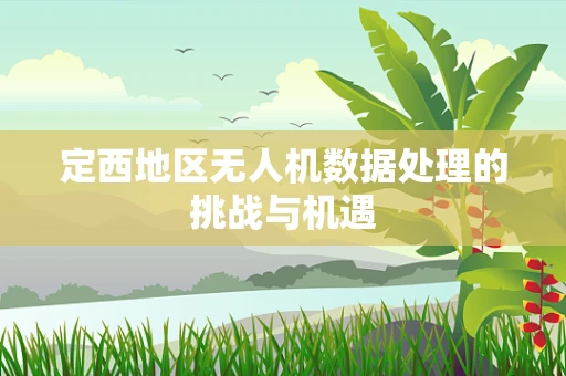 定西地区无人机数据处理的挑战与机遇