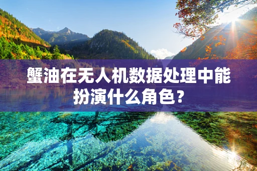 蟹油在无人机数据处理中能扮演什么角色？