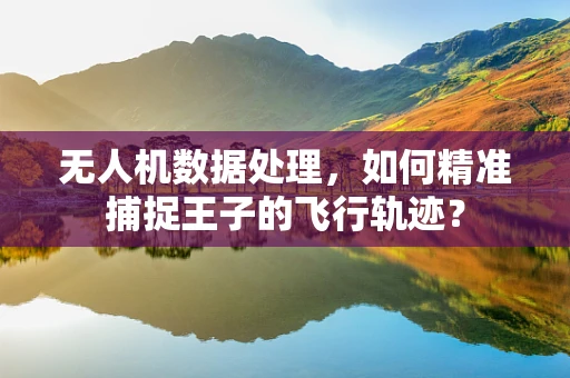 无人机数据处理，如何精准捕捉王子的飞行轨迹？