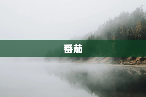 番茄