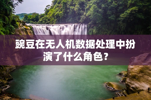豌豆在无人机数据处理中扮演了什么角色？