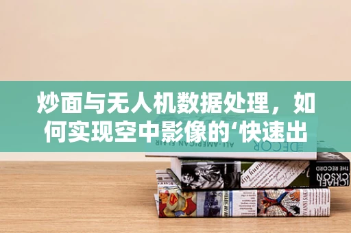 炒面与无人机数据处理，如何实现空中影像的‘快速出餐’？