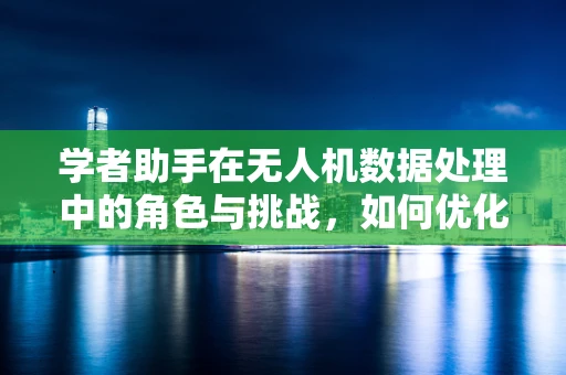 学者助手在无人机数据处理中的角色与挑战，如何优化数据处理的精度与效率？