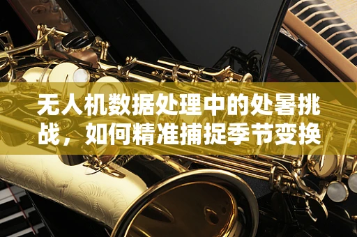 无人机数据处理中的处暑挑战，如何精准捕捉季节变换的空中信息？