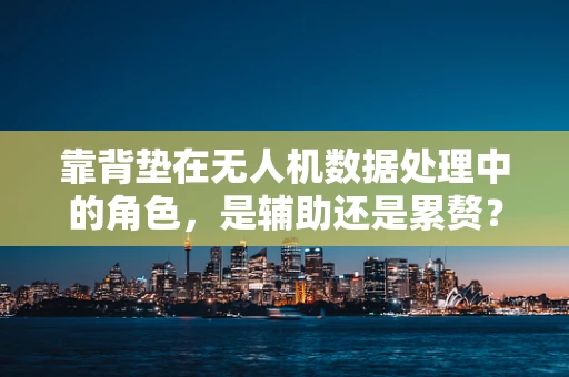 靠背垫在无人机数据处理中的角色，是辅助还是累赘？