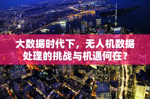 大数据时代下，无人机数据处理的挑战与机遇何在？