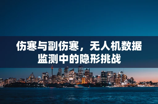 伤寒与副伤寒，无人机数据监测中的隐形挑战