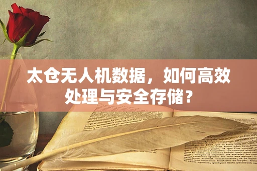太仓无人机数据，如何高效处理与安全存储？