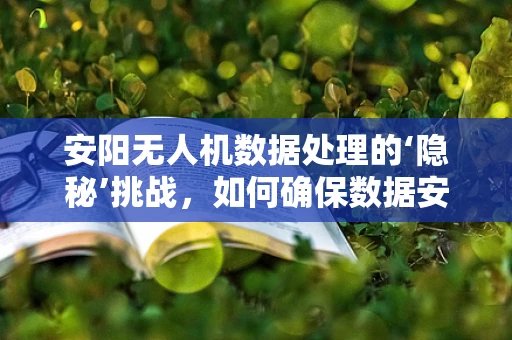 安阳无人机数据处理的‘隐秘’挑战，如何确保数据安全与高效传输？