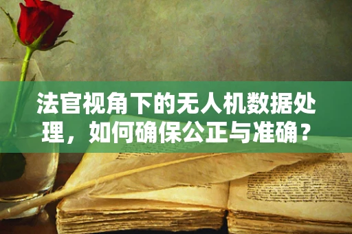 法官视角下的无人机数据处理，如何确保公正与准确？