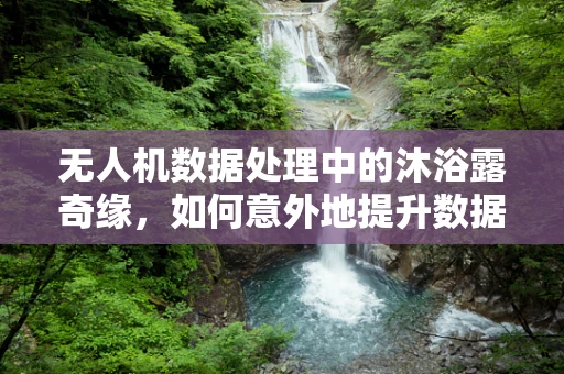 无人机数据处理中的沐浴露奇缘，如何意外地提升数据清洗效率？