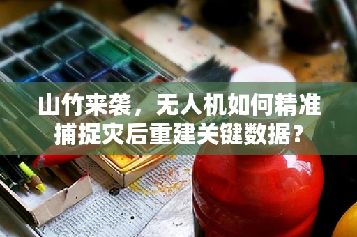 山竹来袭，无人机如何精准捕捉灾后重建关键数据？