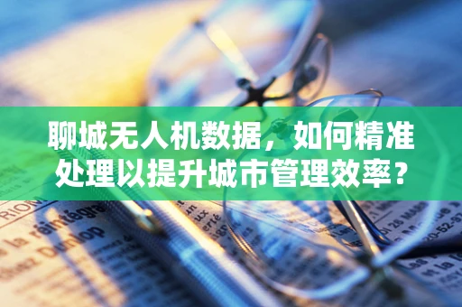 聊城无人机数据，如何精准处理以提升城市管理效率？