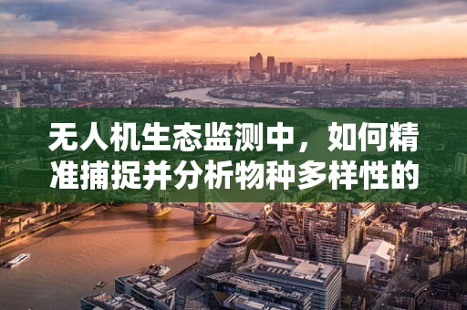 无人机生态监测中，如何精准捕捉并分析物种多样性的微妙变化？