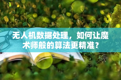无人机数据处理，如何让魔术师般的算法更精准？