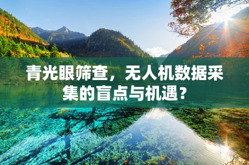 青光眼筛查，无人机数据采集的盲点与机遇？