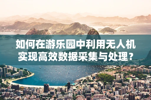 如何在游乐园中利用无人机实现高效数据采集与处理？