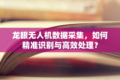 龙眼无人机数据采集，如何精准识别与高效处理？