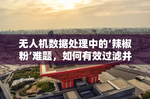 无人机数据处理中的‘辣椒粉’难题，如何有效过滤并分析数据？