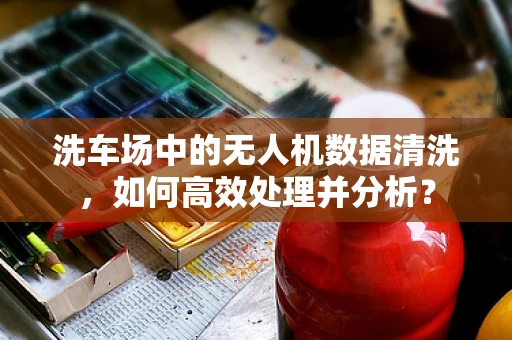 洗车场中的无人机数据清洗，如何高效处理并分析？