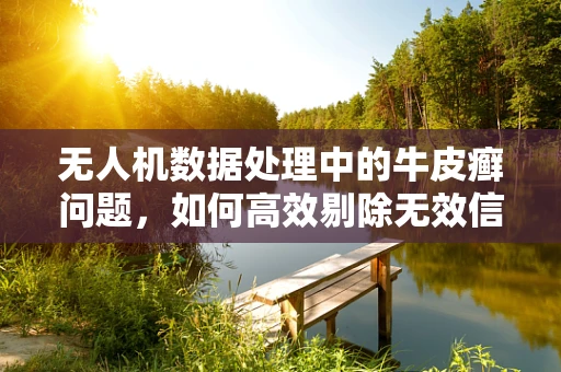 无人机数据处理中的牛皮癣问题，如何高效剔除无效信息？