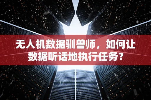 无人机数据驯兽师，如何让数据听话地执行任务？