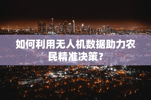 如何利用无人机数据助力农民精准决策？