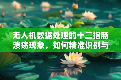 无人机数据处理的十二指肠溃疡现象，如何精准识别与应对？