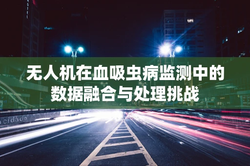 无人机在血吸虫病监测中的数据融合与处理挑战