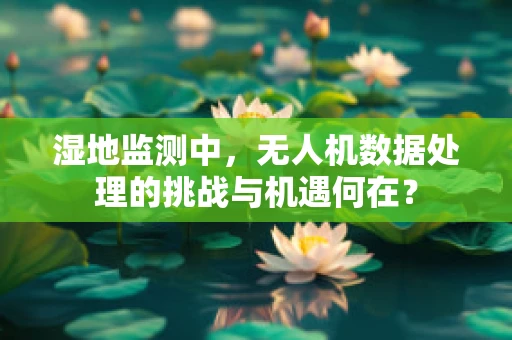 湿地监测中，无人机数据处理的挑战与机遇何在？