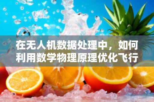 在无人机数据处理中，如何利用数学物理原理优化飞行轨迹？