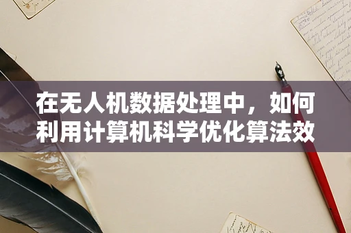 在无人机数据处理中，如何利用计算机科学优化算法效率？