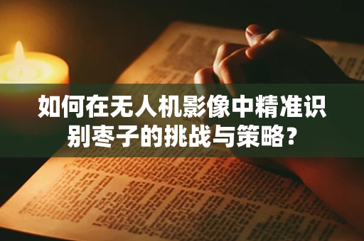 如何在无人机影像中精准识别枣子的挑战与策略？